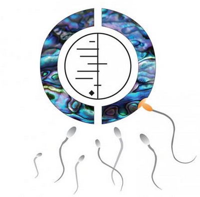 Paua sperm logo